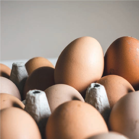 Free range farm eggs - 1 Dozen